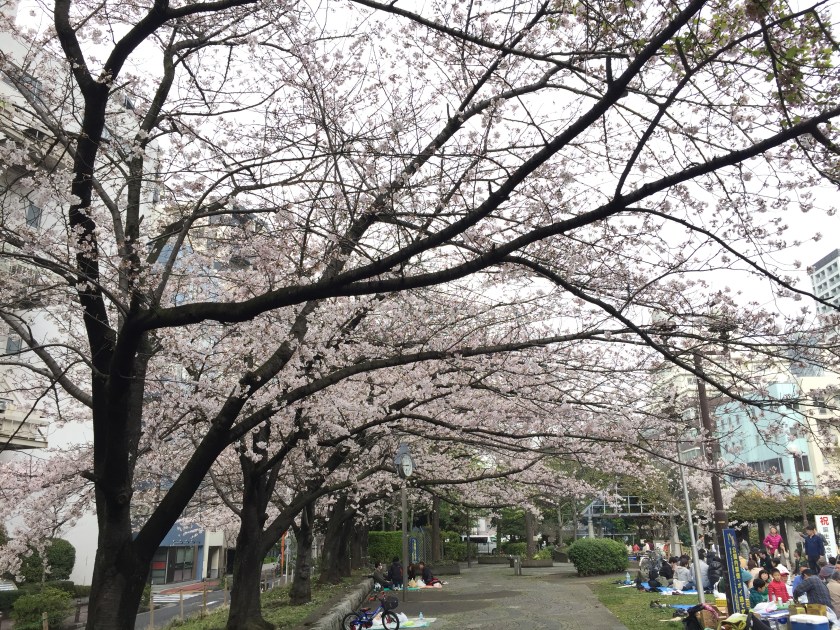 築地川公園_7074